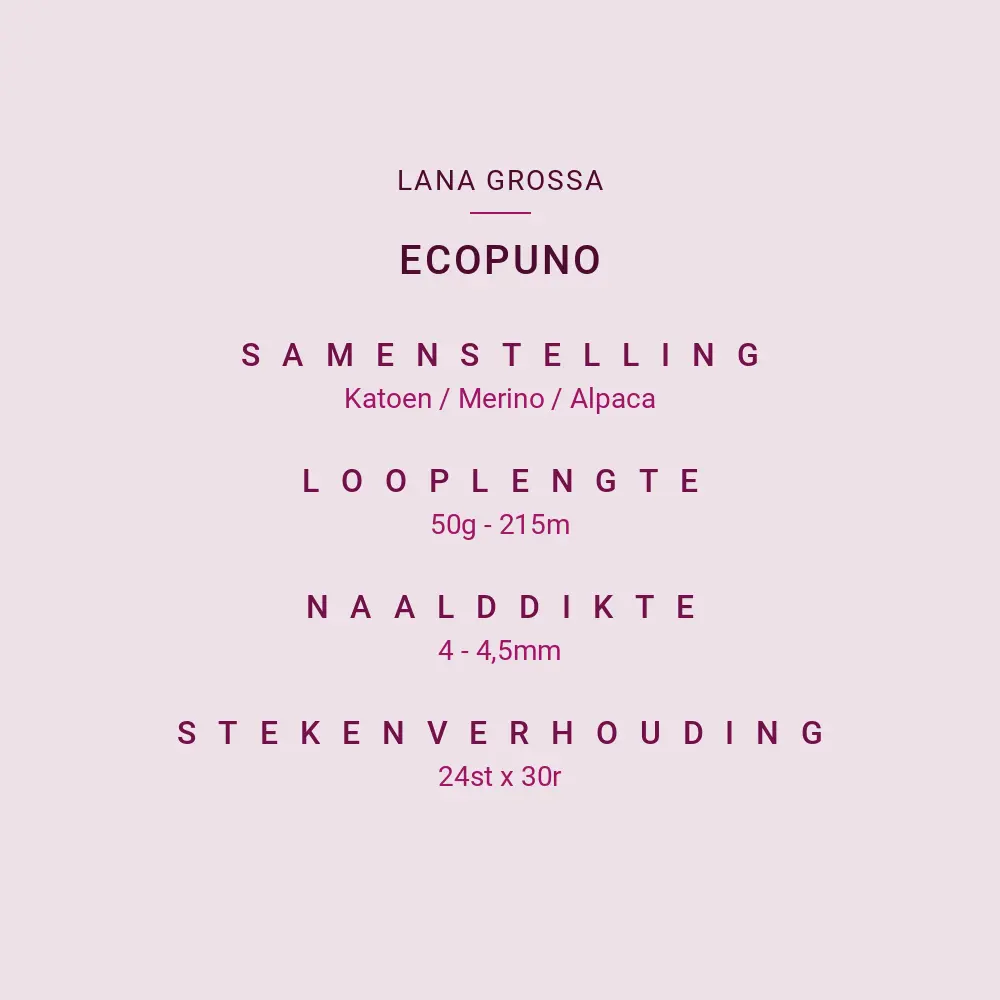 ecopuno.webp