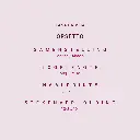 orsetto.webp