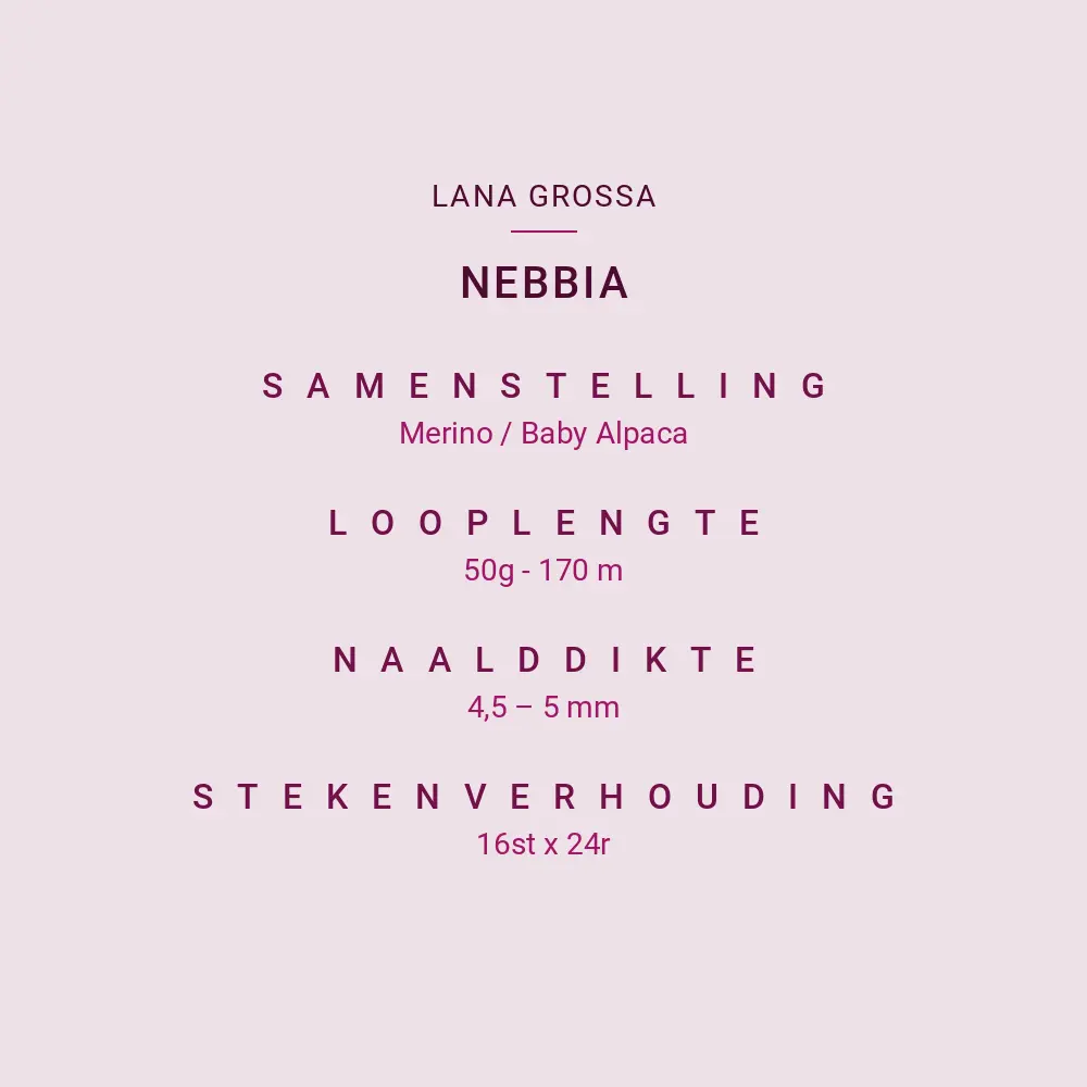 nebbia.webp