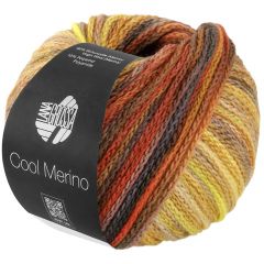 Cool Merino Color | Lana Grossa