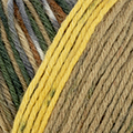 Attribute Image