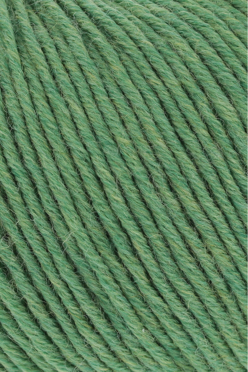 Attribute Image